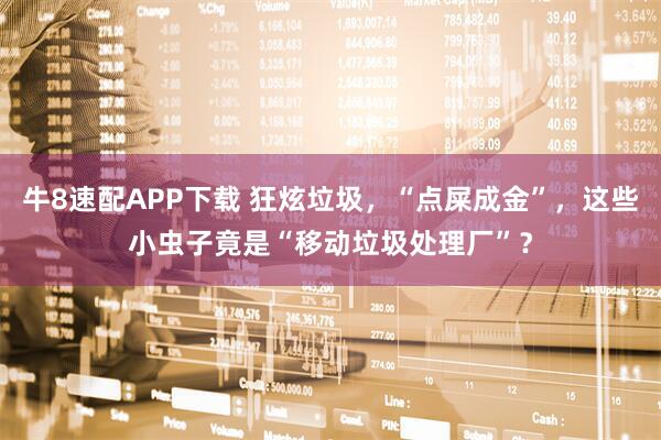 牛8速配APP下载 狂炫垃圾,“点屎成金”,这些小虫子竟是“移动垃圾处理厂”?