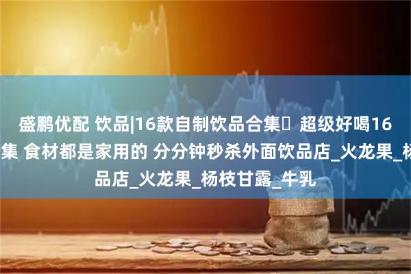 盛鹏优配 饮品|16款自制饮品合集️超级好喝16道自制饮品合集 食材都是家用的 分分钟秒杀外面饮品店_火龙果_杨枝甘露_牛乳