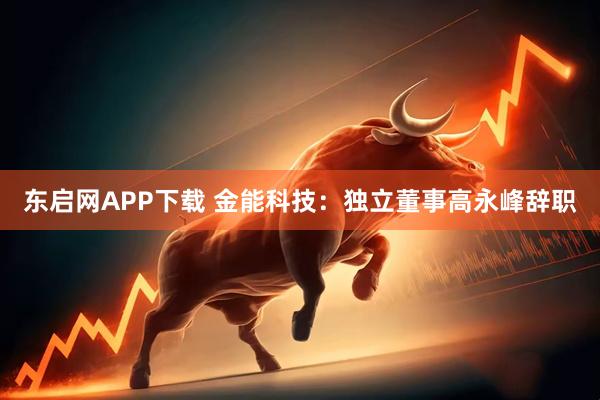 东启网APP下载 金能科技：独立董事高永峰辞职