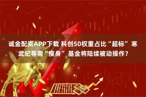 诚金配资APP下载 科创50权重占比“超标” 寒武纪等需“瘦身” 基金将陆续被动操作？